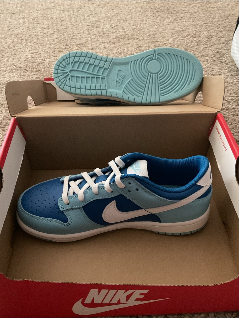 Nike Kids Blue and White Low-Top Sneakers